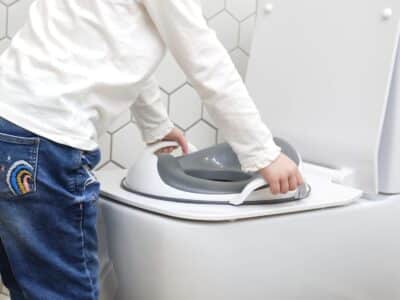 prince lionheart wee pod toilet trainer with handle