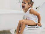 prince lionheart wee pod toilet trainer with handle